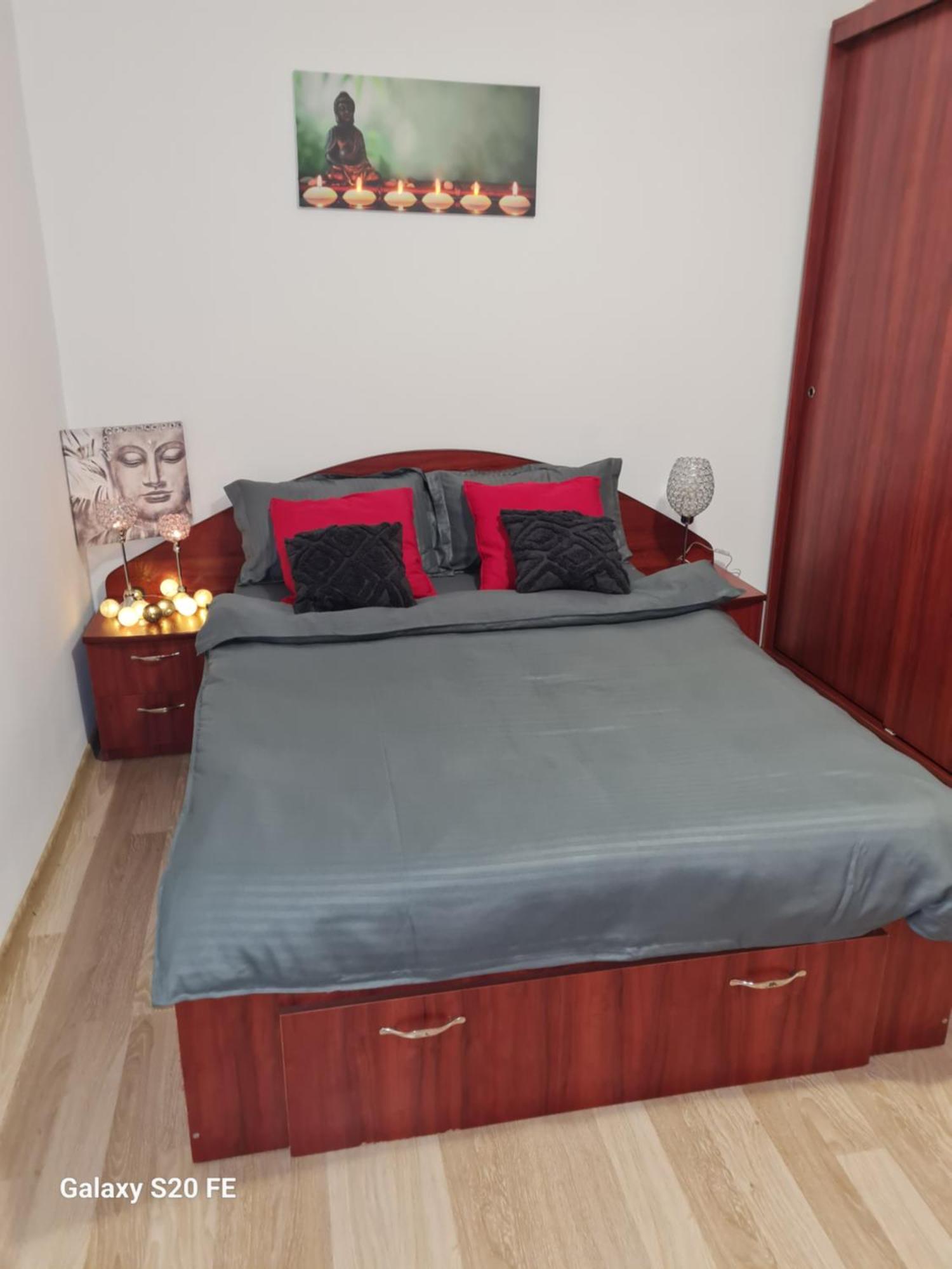 Ambient Cismigiu Apartment บูคาเรสต์ ภายนอก รูปภาพ